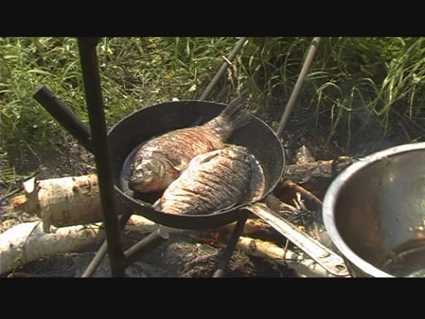 Сибирская рыбалка - фильм Крупный карась - кадры из фильма
