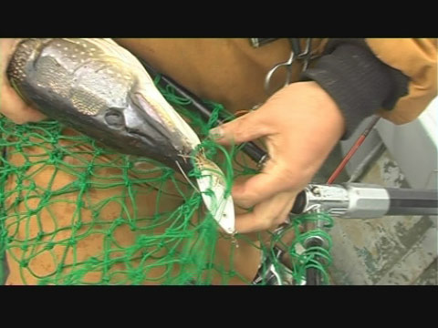 Сибирская рыбалка - фильм Уловистая незацепляйка - кадры из фильма