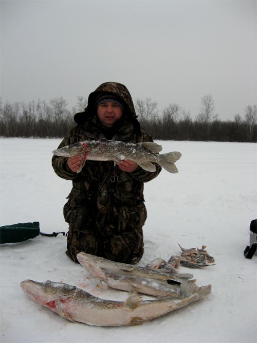 Зимняя рыбалка в Сибири - ловля щуки