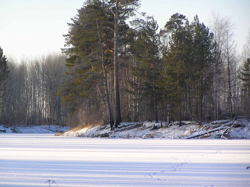 Ловля окуня в Сибири зимой