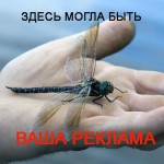 Здесь могла быть ваша реклама