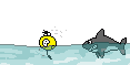 Icon53
