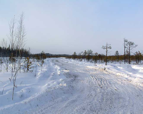 Зимник в Томской области