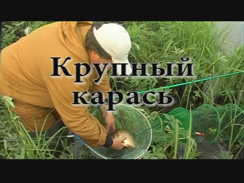 Сибирская рыбалка - фильм Крупный карась - кадры из фильма