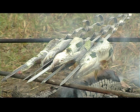 Унесенные ветром: Фильмы о рыбалке в Сибири - ловля на кружки