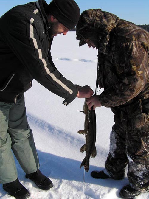 Отчет о зимней рыбалке на жерлицы