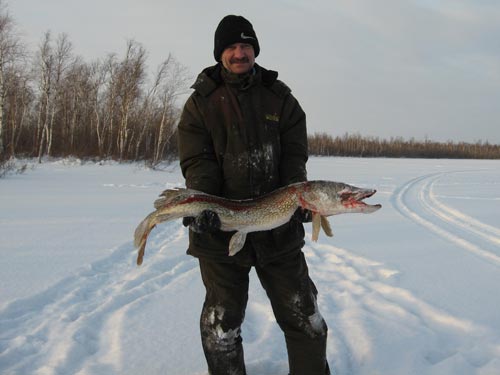 Ловля щуки на зимней рыбалке