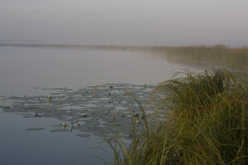 Глухое сибирское озеро