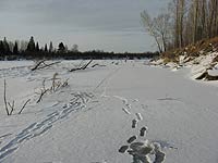 Фото - зимняя рыбалка в Сибири - рыбалка на реке Яя