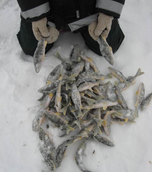 Зимняя рыбалка - самый первый лед