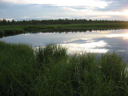 За крупным карасем - карасевое озеро в Сибири