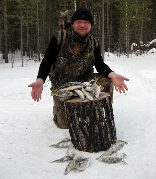 Таежный окунь - ловля окуня в сибирских озерах
